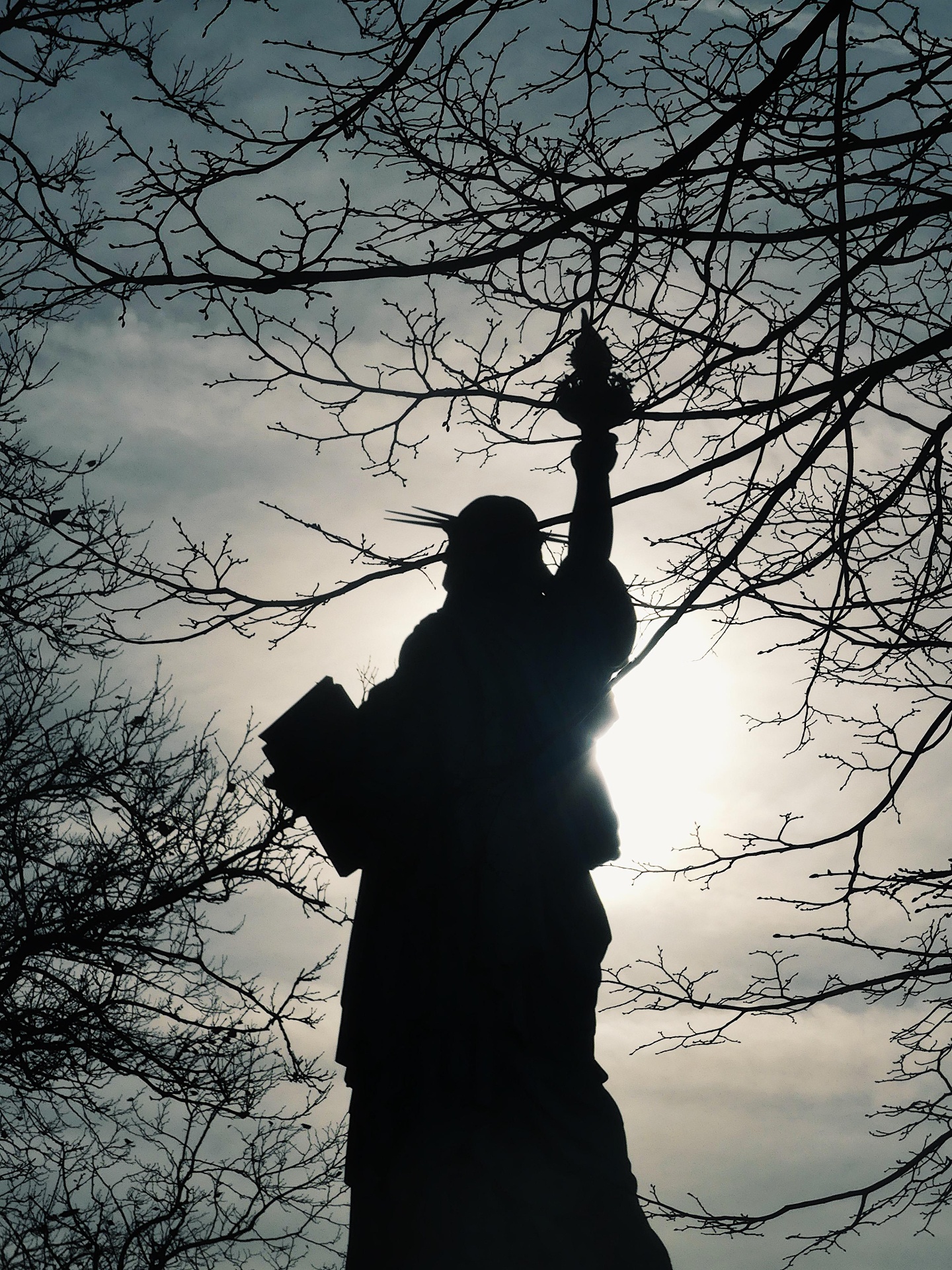 Silhouette of the Statue of Liberty through bare branches.